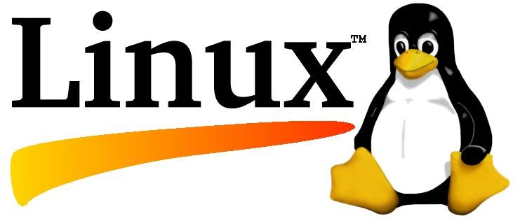 Ubuntu Linux işletim sisteminde paket ve bağımlı dosyaların indirilmesi