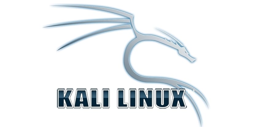 KALI Linux Nasıl Güncellenir